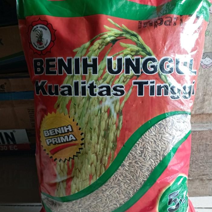 Benih Padi unggul INPARI 32 4kg BIBIT PADI UNGGUL BERKUALITAS Kuning Tanaman