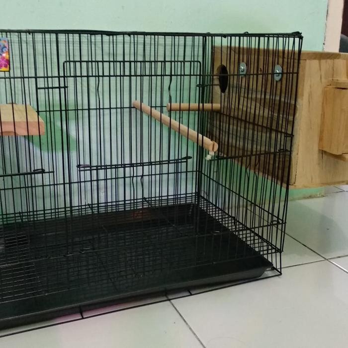 Kandang Ternak Fullset Glodok Untuk Parkit Lovebird Finch