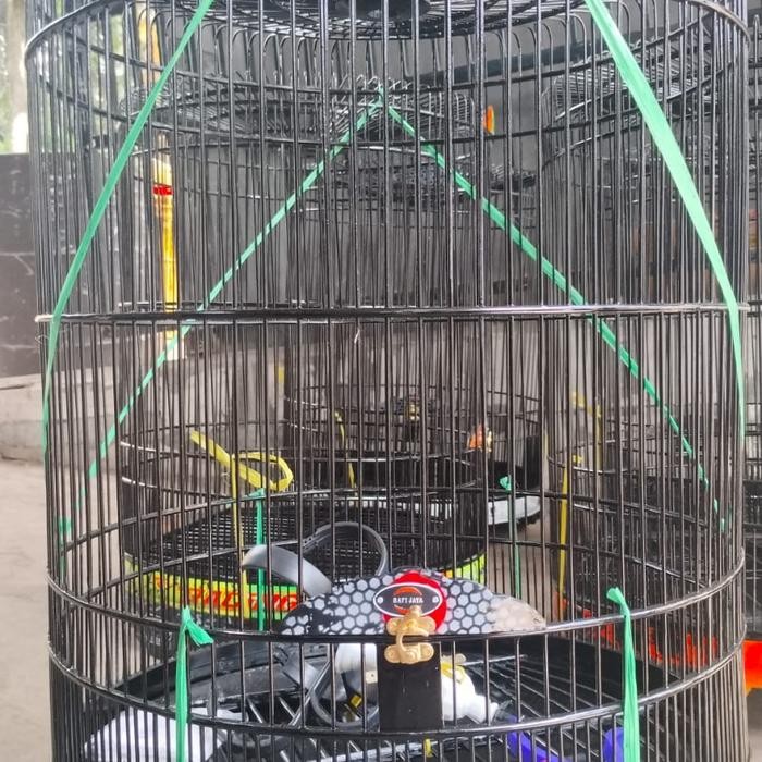 sangkar/kandang burung murai rafi jaya no 2 aklirik ( / )