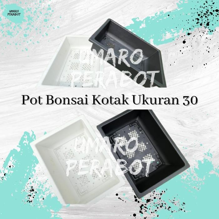 Pot Bonsai Kotak Ukuran 30 / Pot Petak / Pot Tanaman / Pot Bunga / Pot Plastik / Umaro Perabot