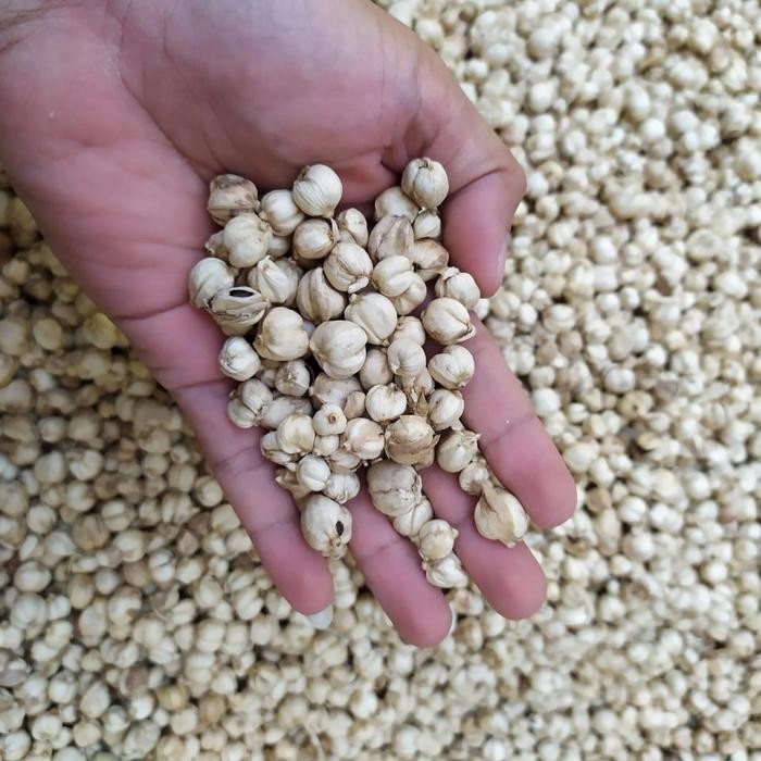 

kapulaga putih 1kg kering