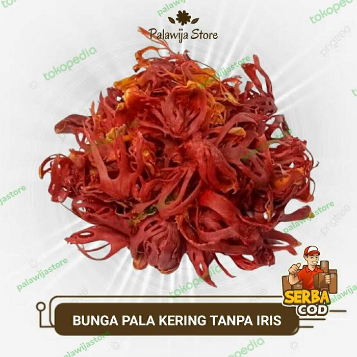 

BUNGA PALA KERING KEMBANG SEMPRA TANPA IRIS 1 KG