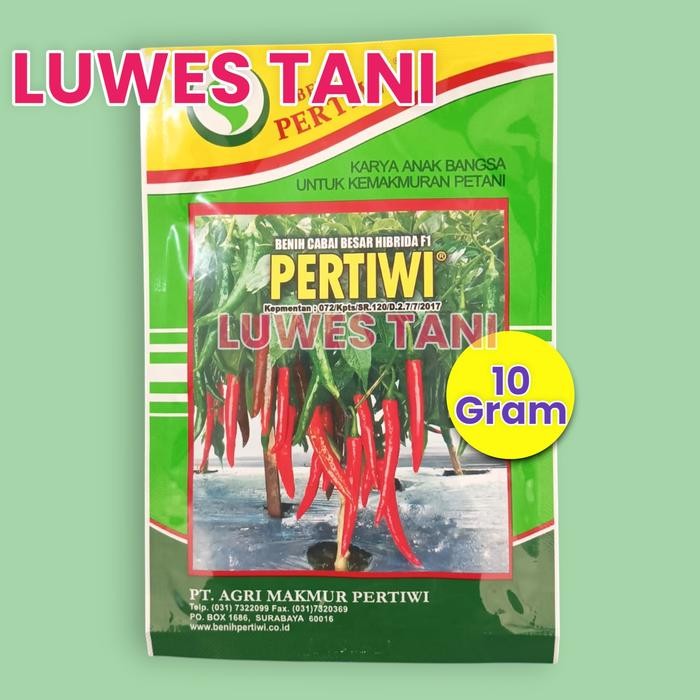 Luwes Tani Benih Cabai Merah Besar Cmb Pertiwi 10 Gram Hybrid F1 Lombok Besar Tegak Semi Tegak Warna