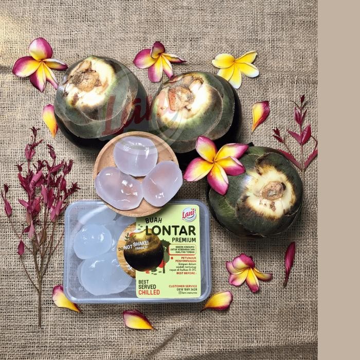 

Lani Buah Lontar Muda Premium Segar (Isi 20 Biji) Siap Konsumsi