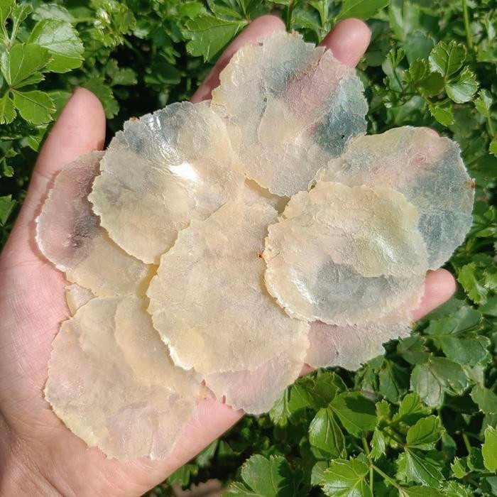 

Sedia Emping Tipis Kebumen Asli Kering gr