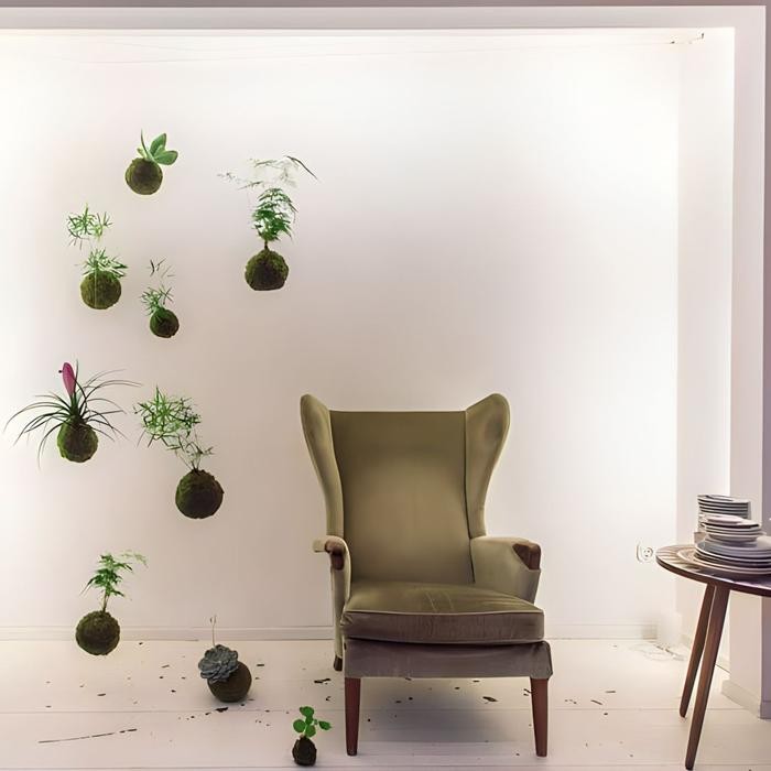 Mossball - Azalea Bonsai