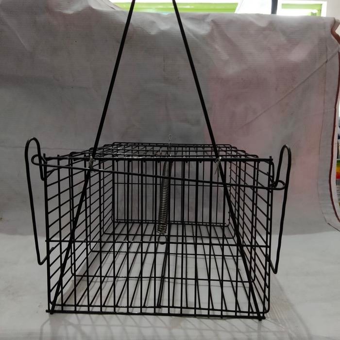 (Expert) jebakan tikus besar perangkap kurungan tikus kawat baja