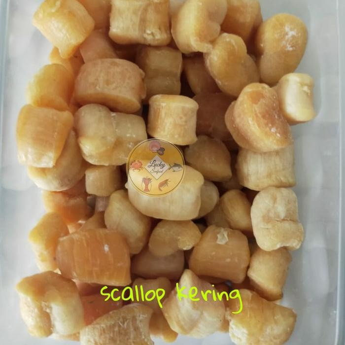 

SCALLOP KERING 100 GRAM