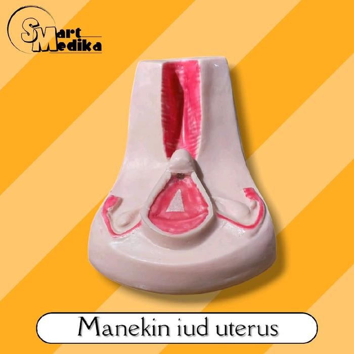 PHANTOM MANEKIN MODEL IUD UTERUS / MANIKIN PERAGA UTERUS