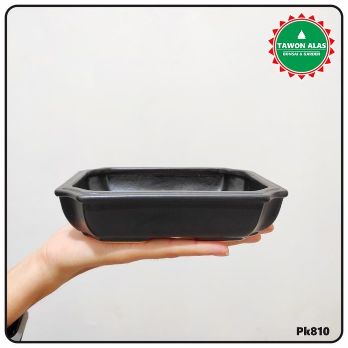 Pot Keramik Bonsai Segi Empat Persegi Kecil Small Mini Mame