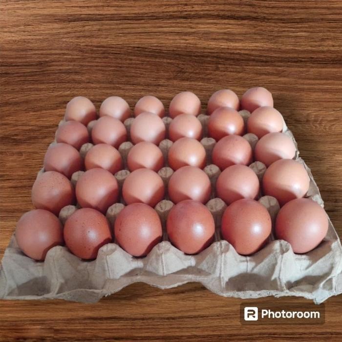 

(Expert) Telur ayam negeri fresh / telur ayam negeri per 1 tray telur ayam premium dan segar