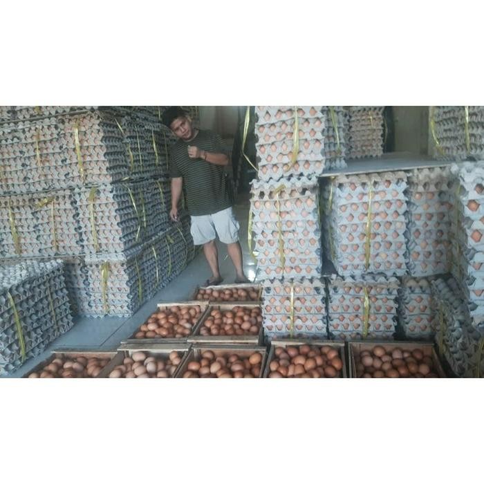 (Expert) TELUR AYAM NEGERi Fresh 2kg isi 32 butir.. kirim