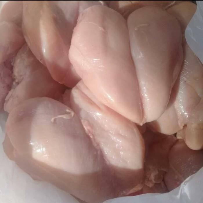 

(Expert) fillet dada ayam fresh