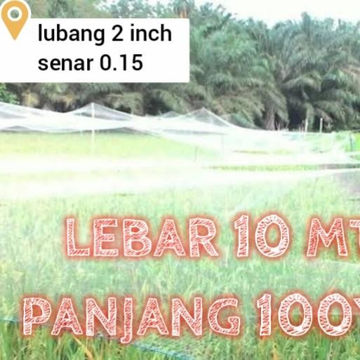 jaring sawah lebar 10 meter panjang 100yds jaring burung jaring padi jaring burung pipit burung