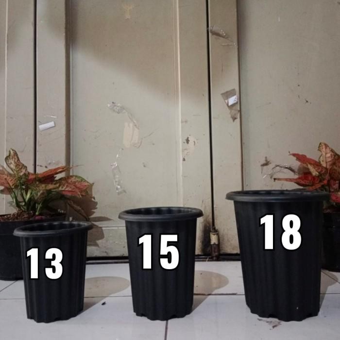 Pot Tinggi Model Yogap, Pot Swiss Warna, Pot Bunga Tinggi, Aglonema