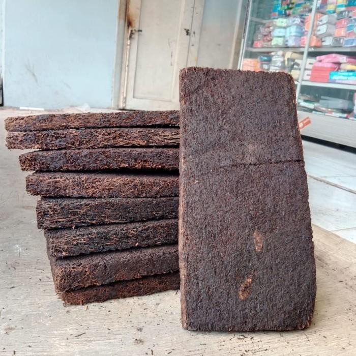 Pakis Papan Besar, Media Tanam Anggrek, Pakis Papan Jumbo, Kw1