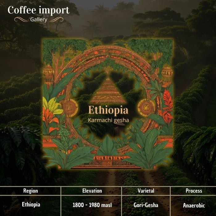 

Ethiopia Karmachi Gesha Asd Anaerobic Green Bean Import Arabika 500Gr #Gratisongkir #Sale #Discount