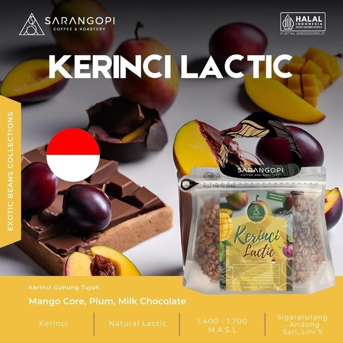 

Arabica Kerinci Lactic - Sarangopi Roastery Beans Grade 1 #Gratisongkir #Sale #Discount