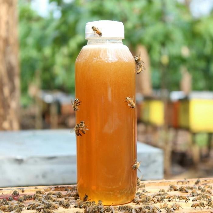 

Pure Madu Murni 500Ml Raw Honey