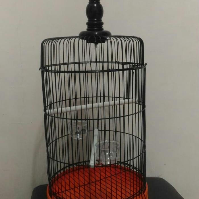 Sangkar Pleci Sangkar Burung Kecil Sangkar Bulat Sangkar Besi