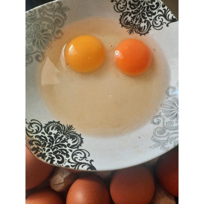 

(Expert) Telur Ayam Omega 3 Fresh 30 Butir Khusus Bandung