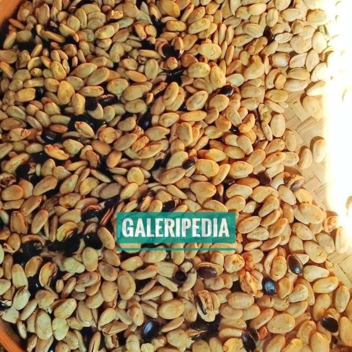 

(Expert) Kacang Kedawung 500 Gr Rasa Original Mindik Sengon Matang