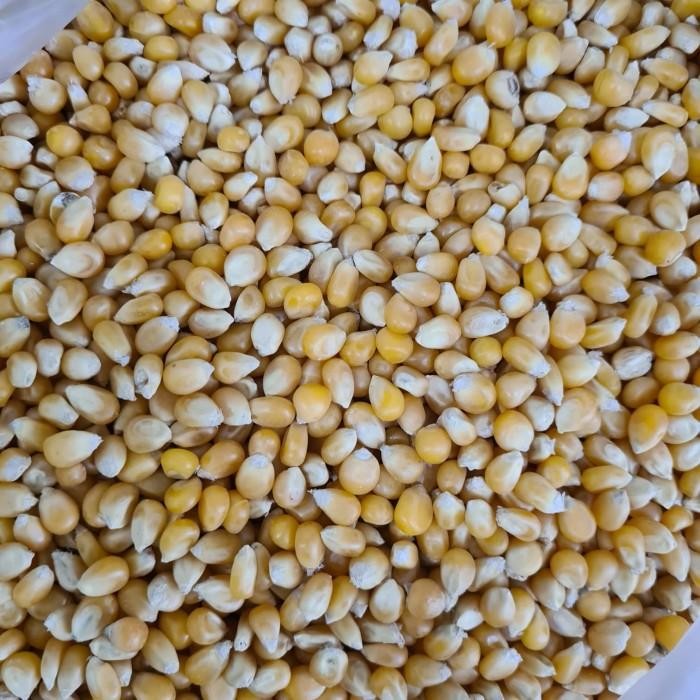 

(Expert) Jagung Popcorn 1kg