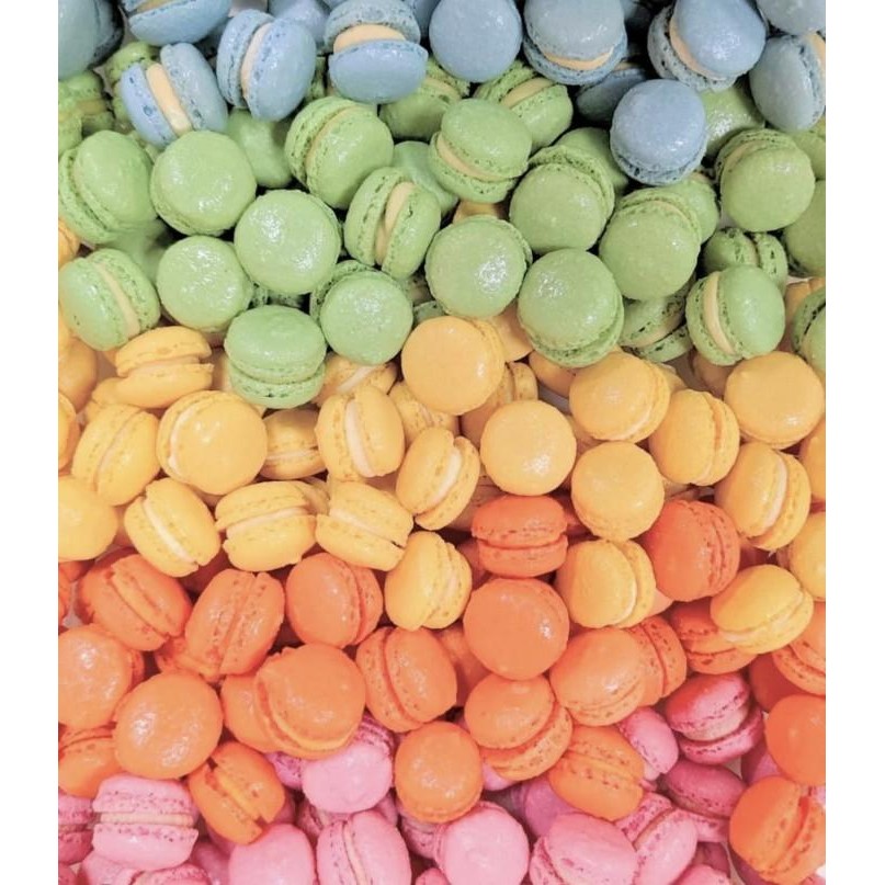 

(Expert) Special Baby Macaron isi 20 Mix