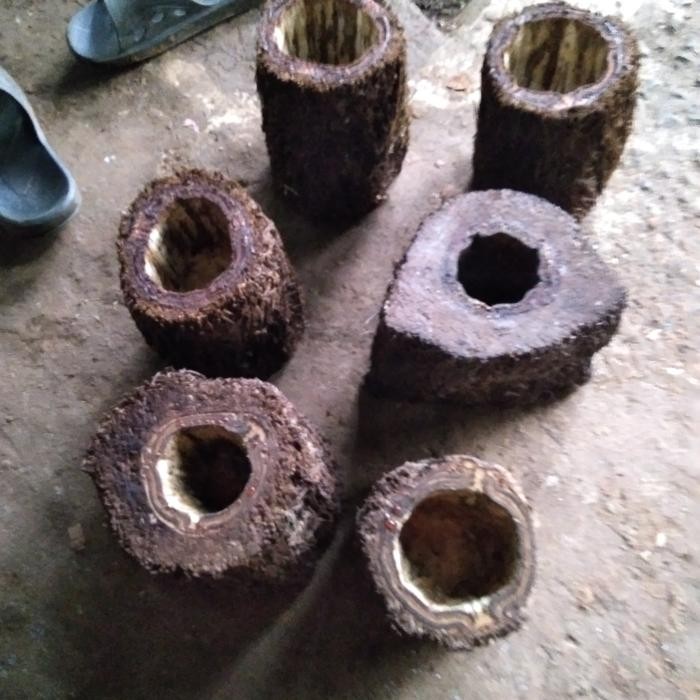 pot batang pakis media tanam anggrek