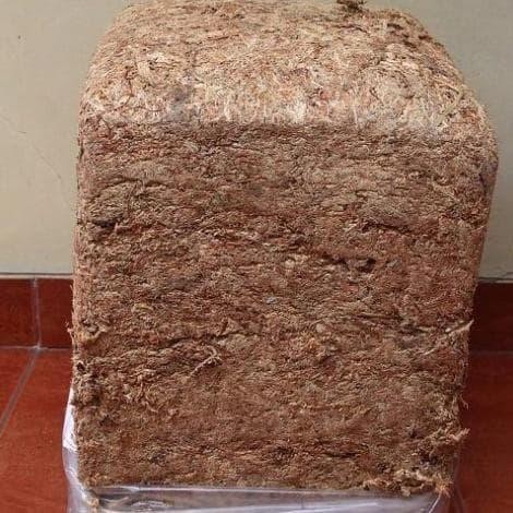 Sphagnum Moss Chile 5Kg Media Tanam Anggrek Adelapuspita55