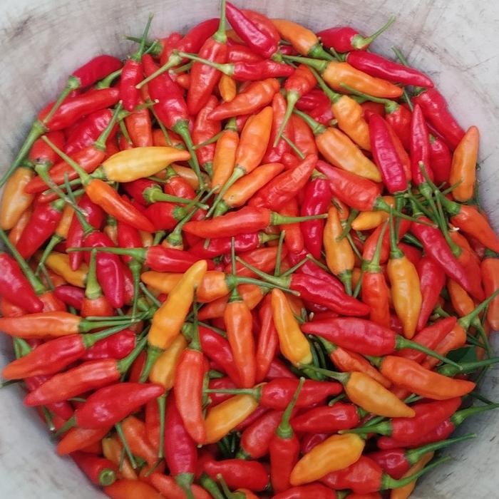 

New Cabe Rawit Merah 250gr