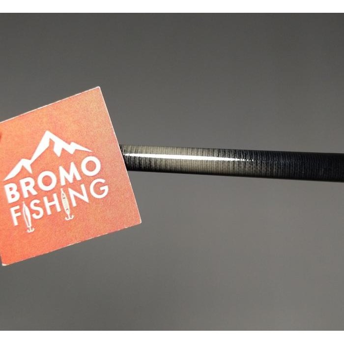 Blank Carbon Hollow 100