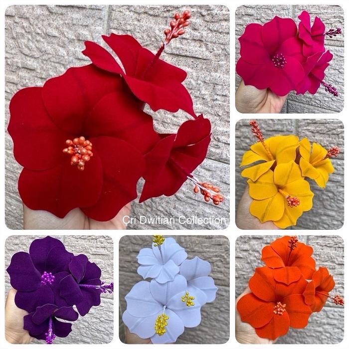 

Pucuk Arjuna/ Pucuk Rejuna/ Kembang Sepatu Beludru/ Pucuk Bali