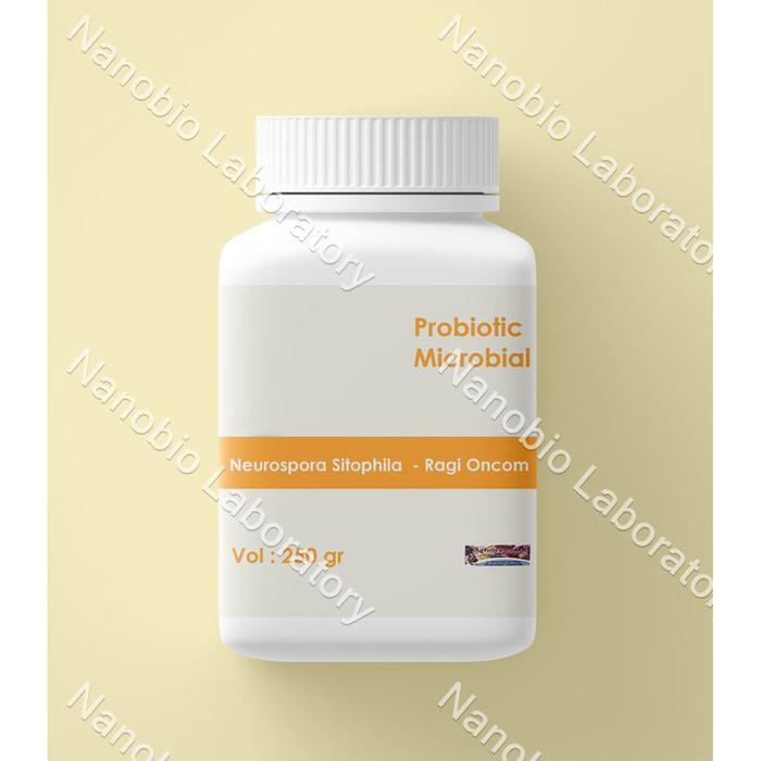 

NEW! RAGI ONCOM MERAH NEUROSPORA SITOPHILA 250GR BAHAN FERMENTASI