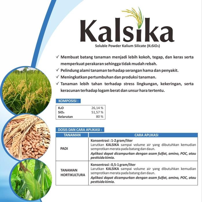 

Ready- Kalsika 100Gr - Soluble Powder Kalium Silicate (K2Sio3) By Prima Agro Tech #Gratisongkir