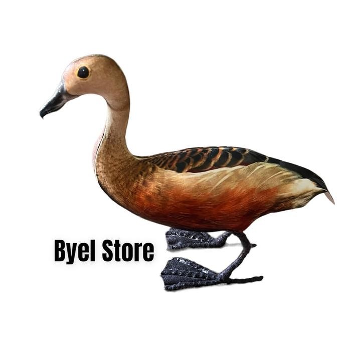 Decoy Burung Belibis Kembang - Jontrot Patung Burung Belibis *