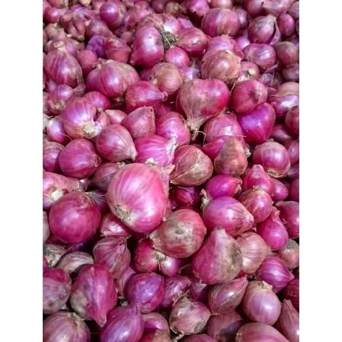

Bawang Merah Super 1 Kg Fresh - Kecombrang -Gratisongkir