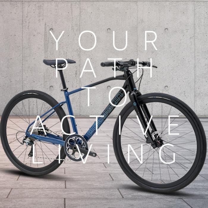 Sepeda Polygon Path F4 Hybrid