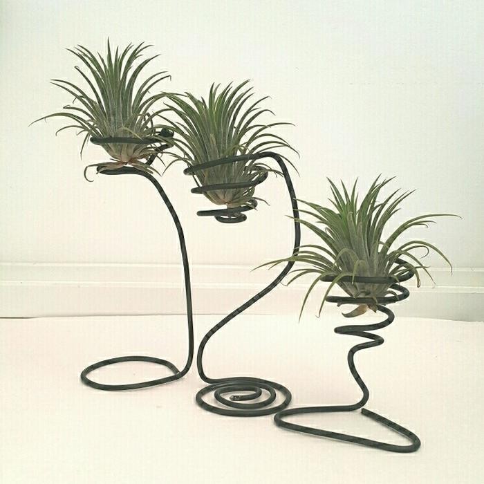 PREMIUM Pot kawat airplant
