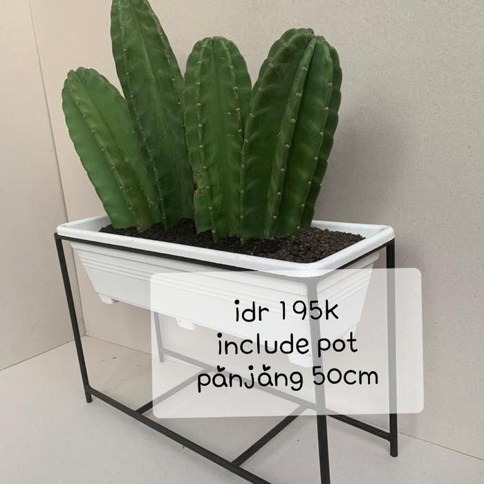 PREMIUM Rak bunga besi pot panjang 50cm, stand pot besi