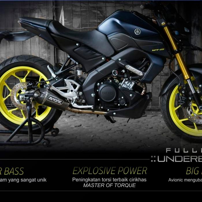 Avionic Full Carbon _ Knalpot Yamaha Mt15 (Fullsystem)