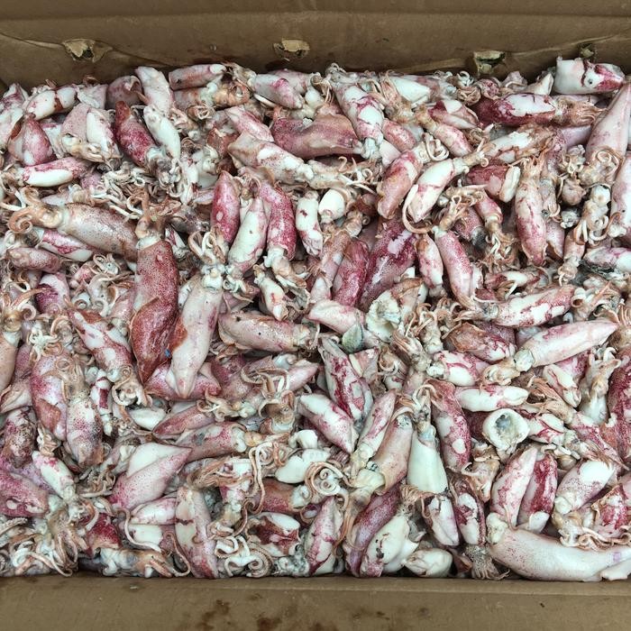 

IOI2 Cumi Asin / Cumi Kering