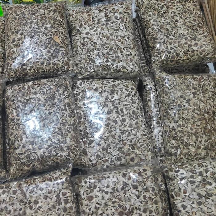 

3YC3 Biji Kelor Moringa Seed