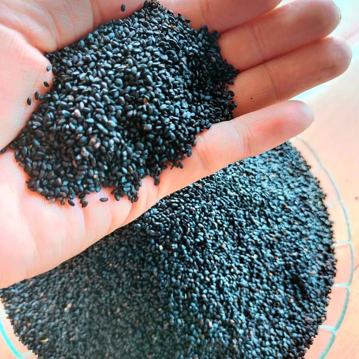 

3YC3 Biji Selasih Import 500Gram 1/2 Kilogram Sudah Bersih Grade A