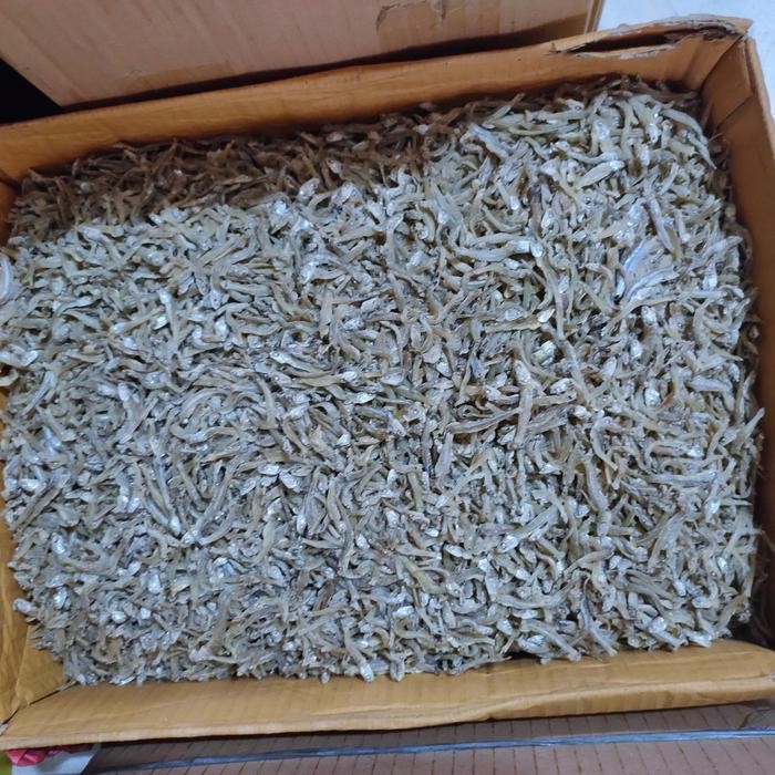 

3YC3 Ikan Teri Pontianak Kalimantan