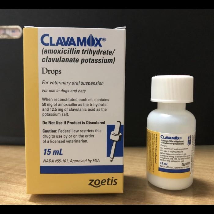 HOT PROMO OBAT INFEKSI SALURAN KEMIH KUCING, OBAT INFEKSI KULIT SEPERTI LUKA DAN ABSES PADA ANJING