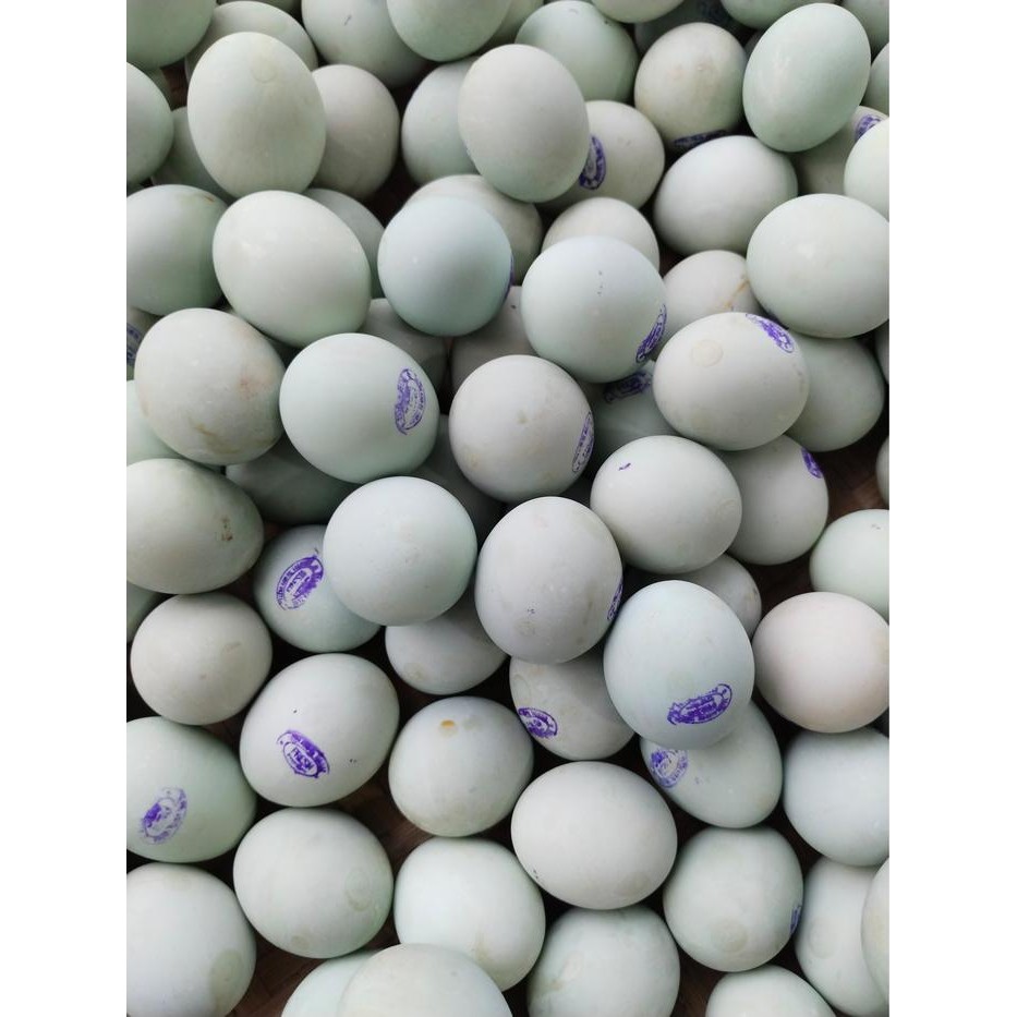 

TELUR ASIN FRESH PREMIUM ISI 10 BUTIR, MASIR GURIH PULEN TELUR ASIN BEBEK