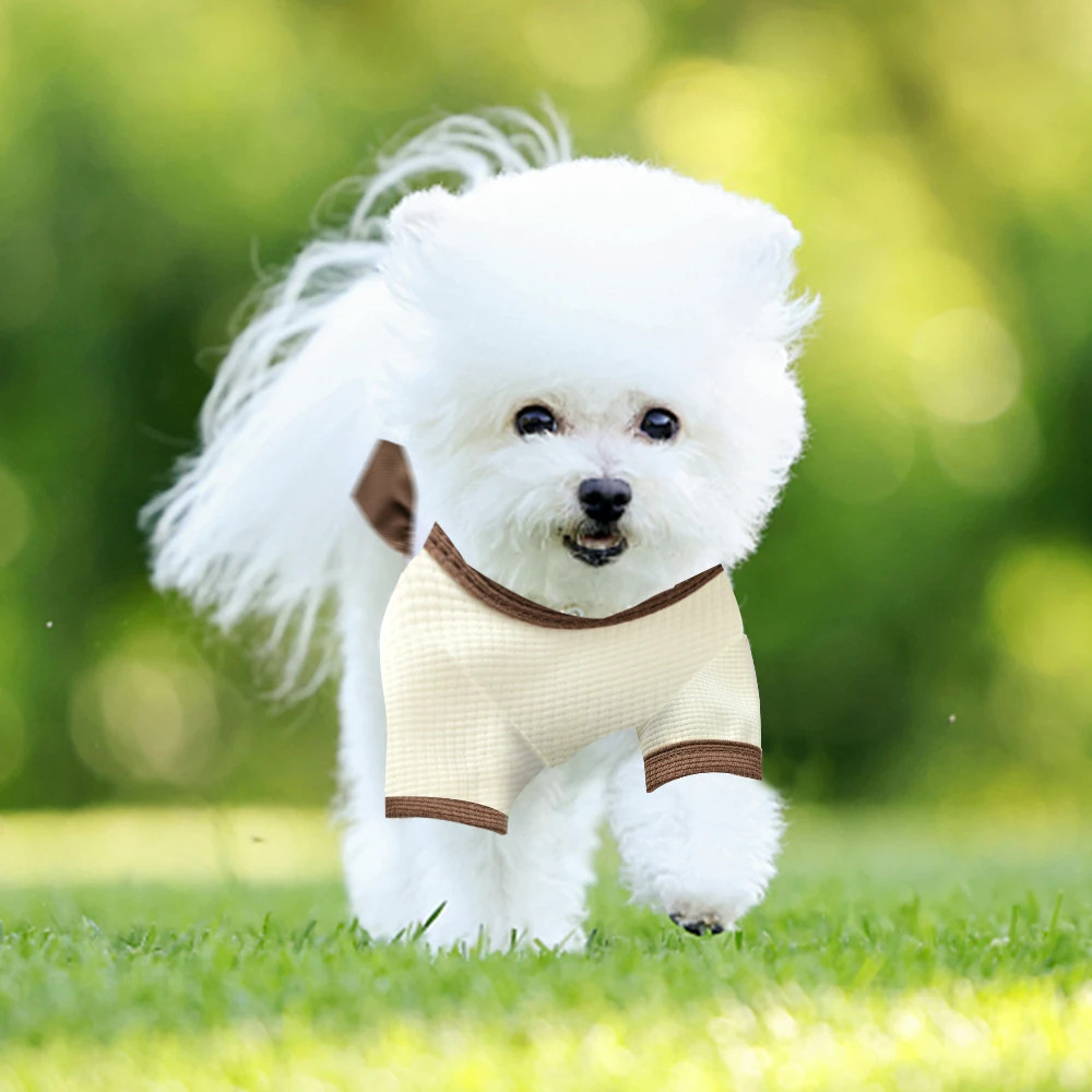 

Dog Skirt Sweet Cute Small Fresh Thin Princess Dress Floral Dog Pet Dress Wedding Dresses Spring