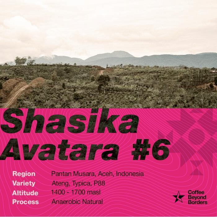 

Arabica Green Beans - Indonesia Shasika Avatara #6