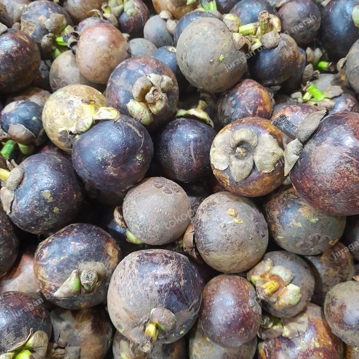 

SIAPKIRIM Buah manggis 1 kg READY STOCK